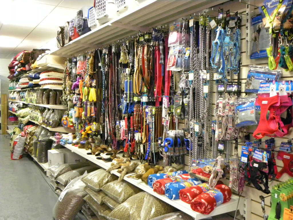 Pets and More opens in Boyle Boyle Today Your News, Your Town