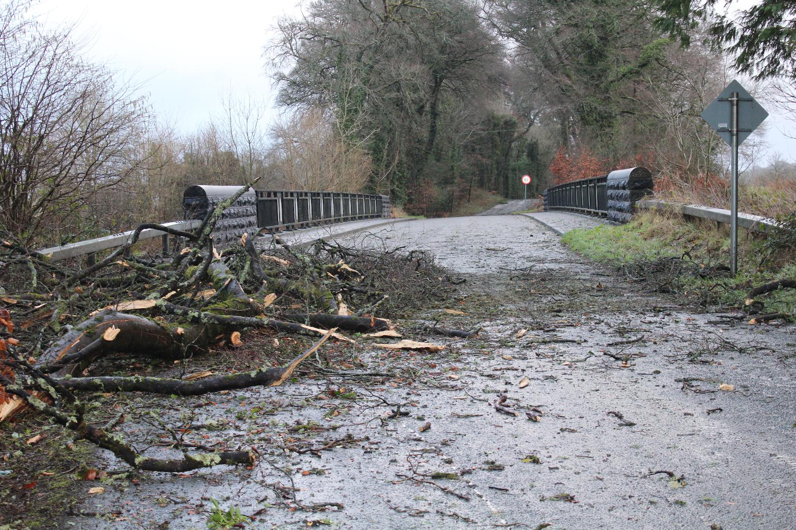 IMG_8664 Boyle Today Your News, Your Town Local news for Boyle