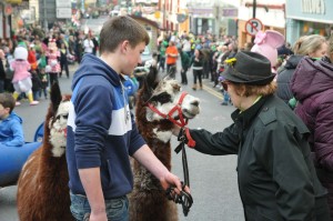 Patricks Day 015_3462